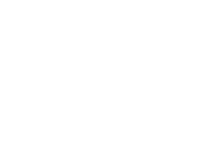 Next Ride